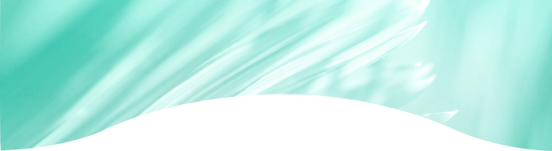 Videos Palmolive Optims